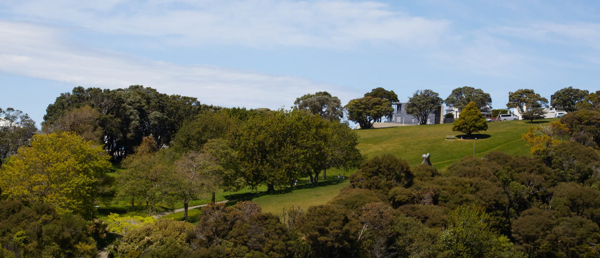 Notable Trees in the Wellington Botanic Garden